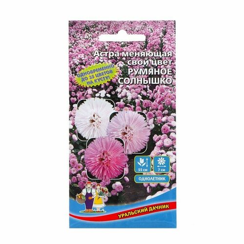 Семена Цветов Астра Румяное солнышко , 0 ,2 г ( 1 упаковка ) семена астры румяное солнышко