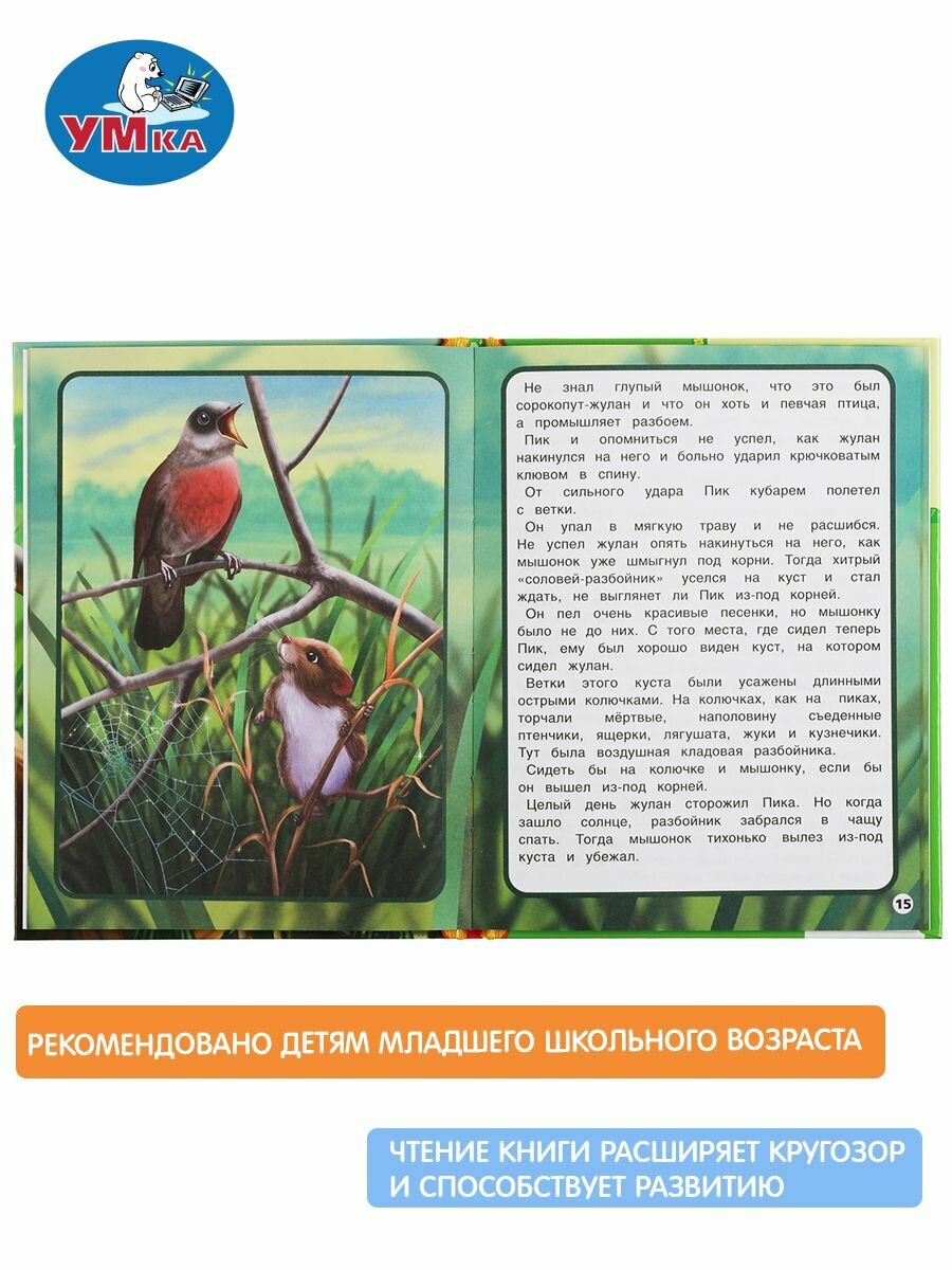 Мышонок Пик. Виталий Бианки. Детская библиотека. 165х215 мм. 48 стр. тв. переплет. Умка в кор.30шт - фото №11
