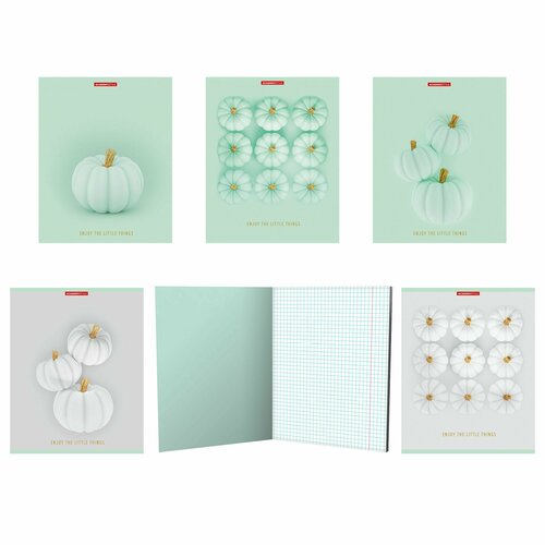 Тетрадь 48л клетка 10 шт/ассорти Бархатные тыквы