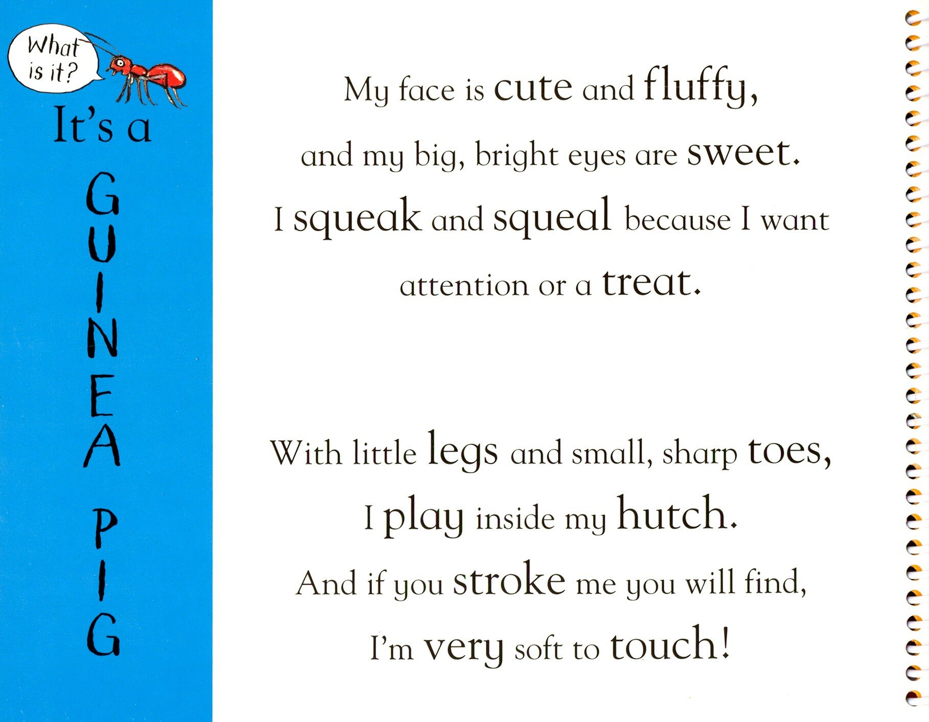 Axel Scheffler's Flip Flap Pets / Книга на Английском - фото №3