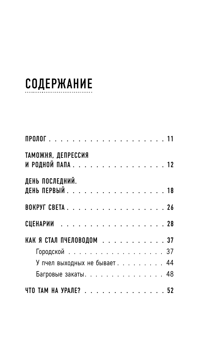 537 дней без страховки. Как я бросил все и уехал колесить по миру (покет) - фото №7