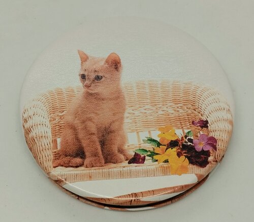 Изображение товара Зеркало кожаное, круглое "Рыжий котёнок в кресле"