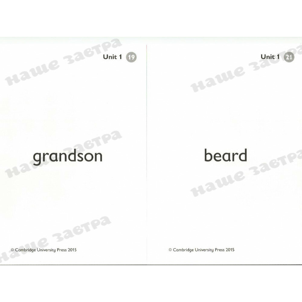 Kid's Box. 2nd Edition. Level 3. Flashcards, pack of 109 - фото №13