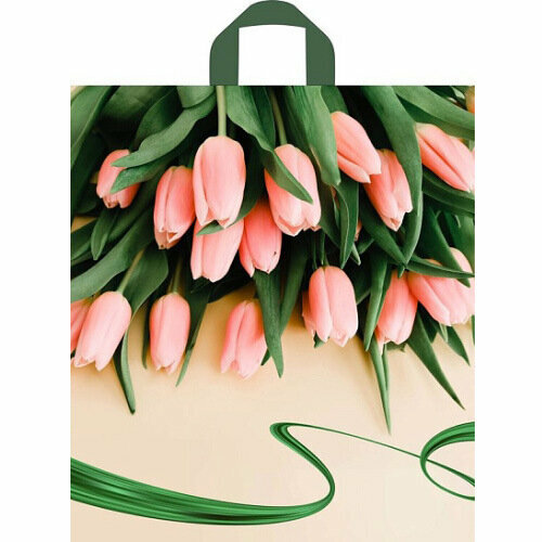 Пакет ПЭ с петлевой ручкой 60х5011см 60 Райские тюльпаны Тико х25250 165₽