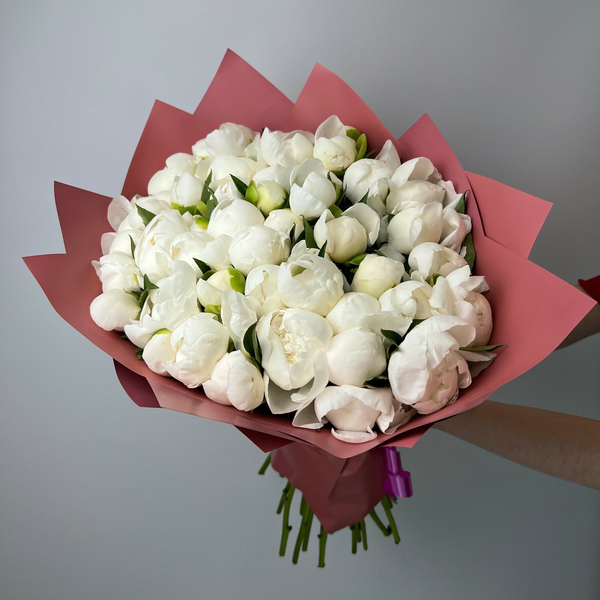 Живые цветы букет пионов в упаковке 51 шт белые