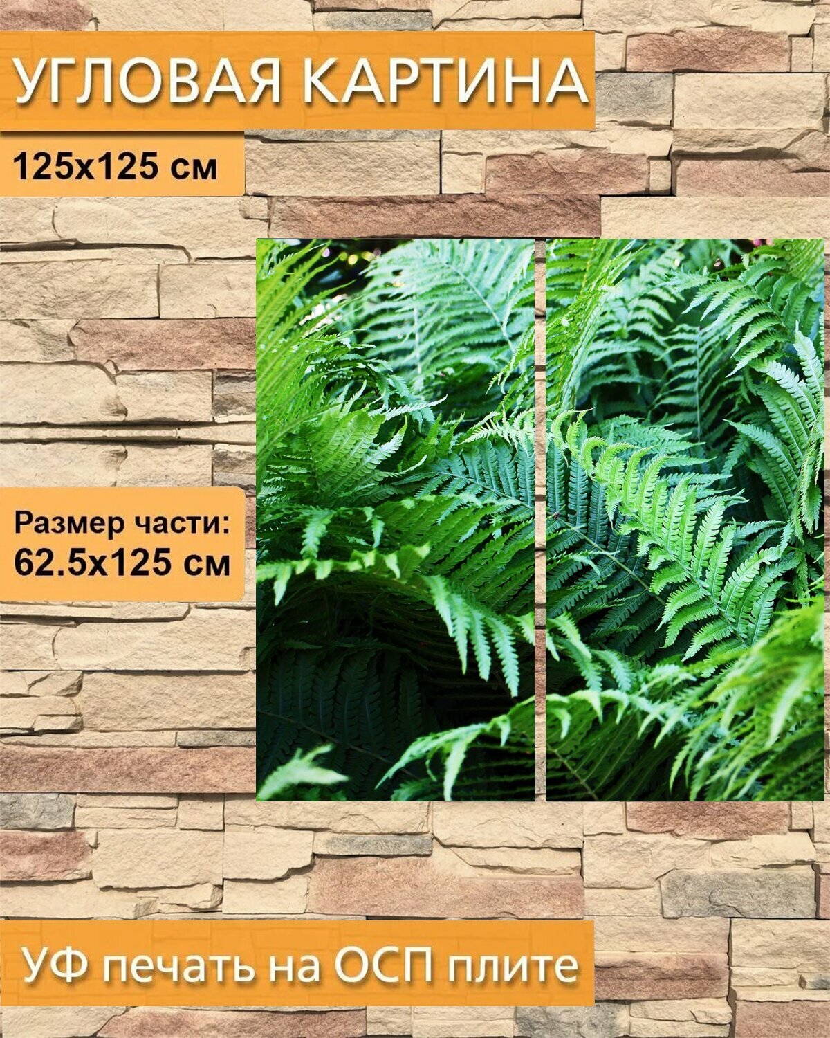 Модульная картина на ОСП "Папоротник, листья папоротника, растение папоротник" 125x125 см. 2 части для интерьера на стену