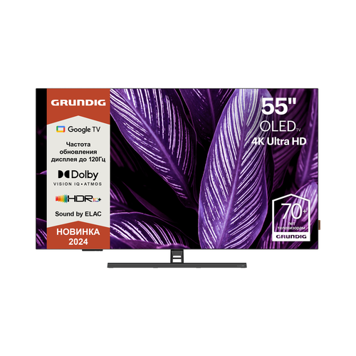 Телевизор Grundig 55 OLED GH 9700 серебристый 14999900₽