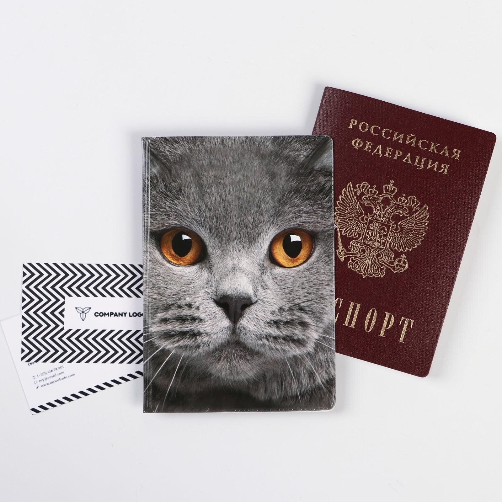 Обложка для паспорта Сима-ленд Обложка на паспорт