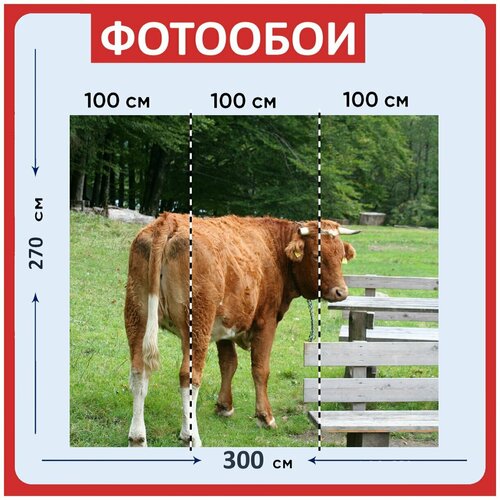 Фотообои Корова пастбище коричневый 300x270 см флизелиновыена стену 3960₽