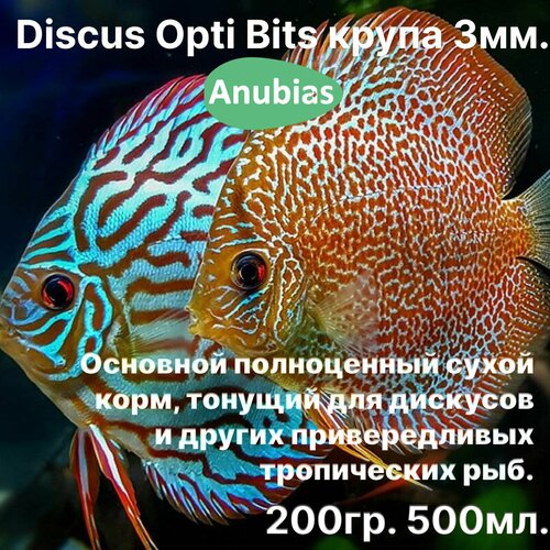 Anubias Discus Opti Bits крупа 3мм. 200гр.500мл. Основной полноценный корм сухой, тонущий для дискусов и других привередливых тропических рыб.