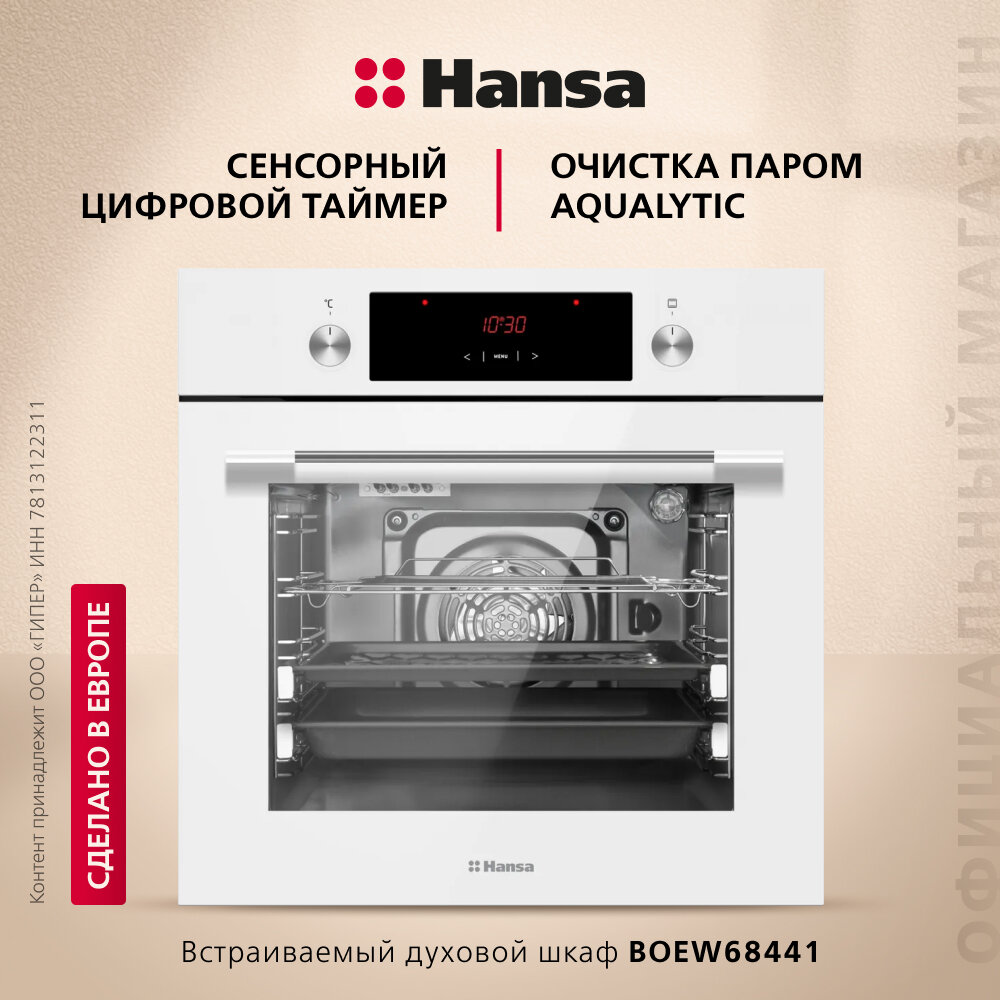 фото Электрический духовой шкаф Hansa BOEW68441