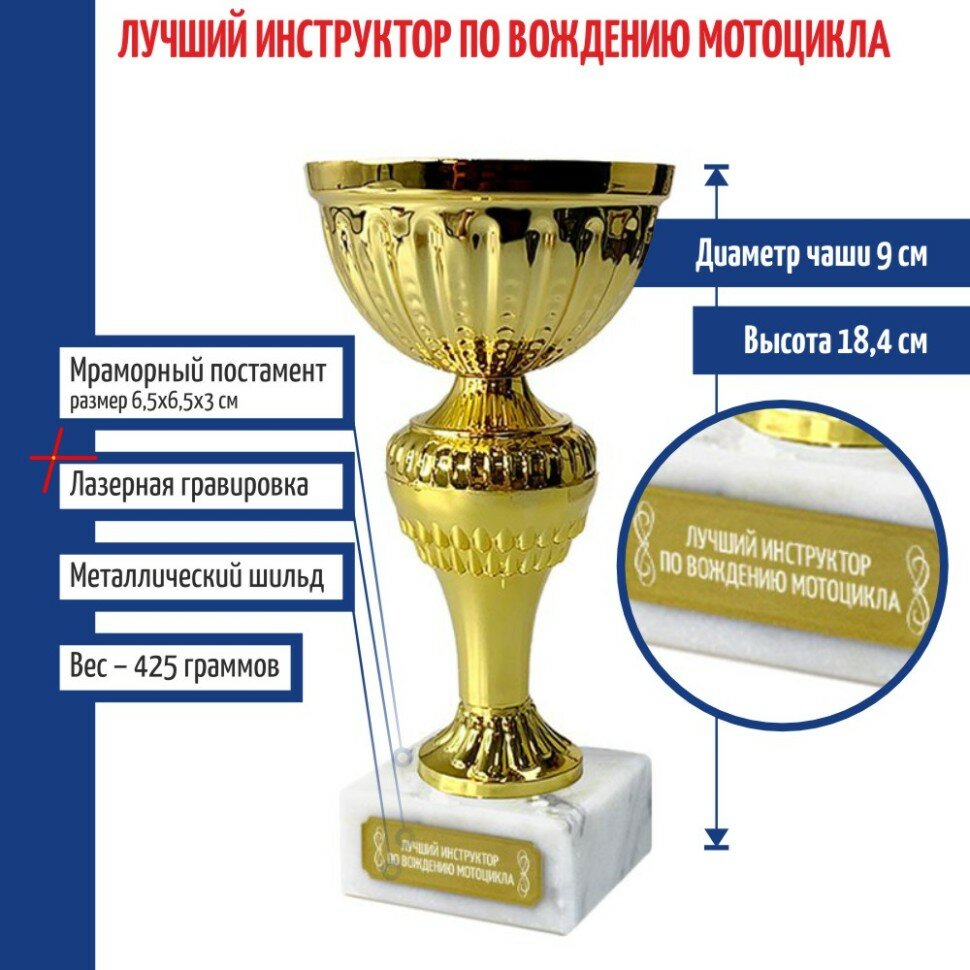 Подарки Кубок "Лучший инструктор по вождению мотоцикла" (18,4 см)