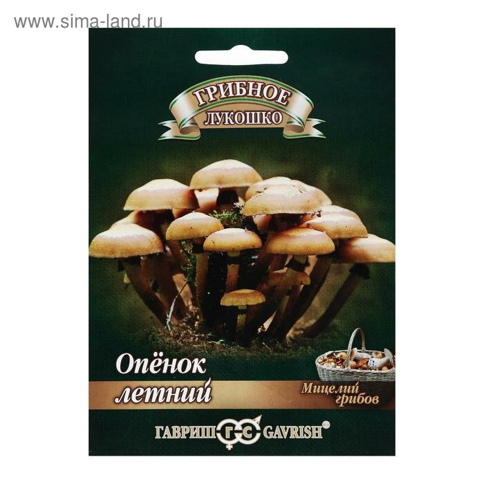 Семена Мицелий 