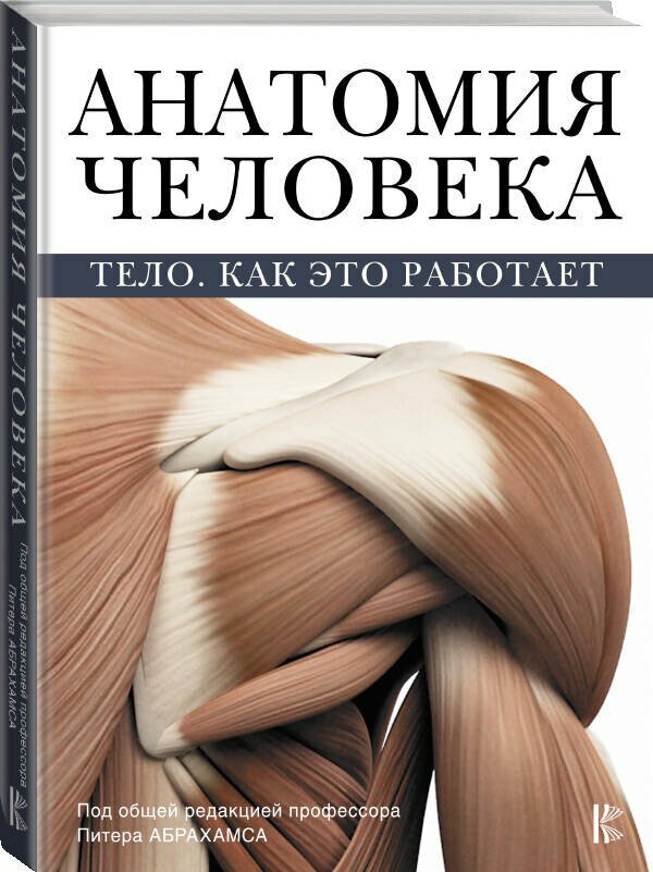 Анатомия человека — фото 1