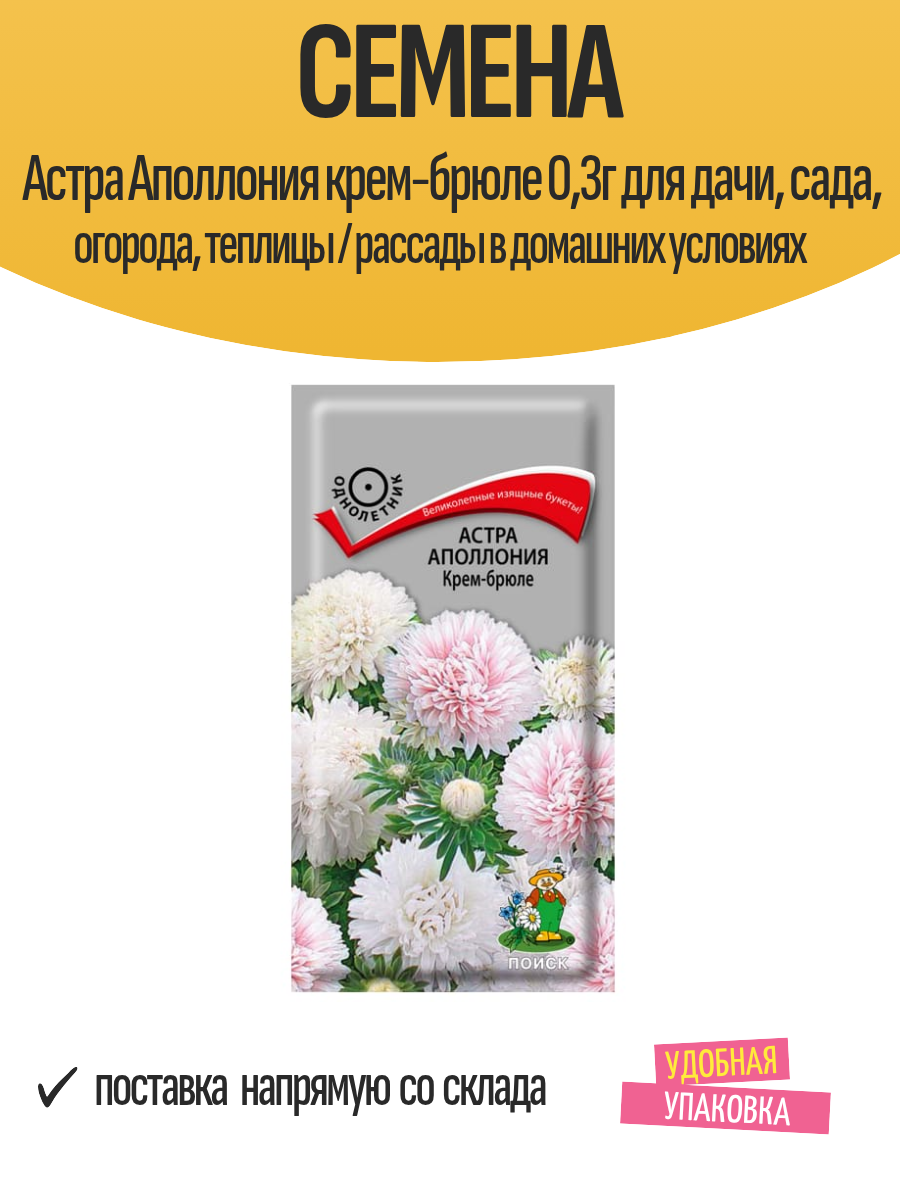 Семена Астра Аполлония крем-брюле 03г для дачи сада огорода теплицы / рассады в домашних условиях