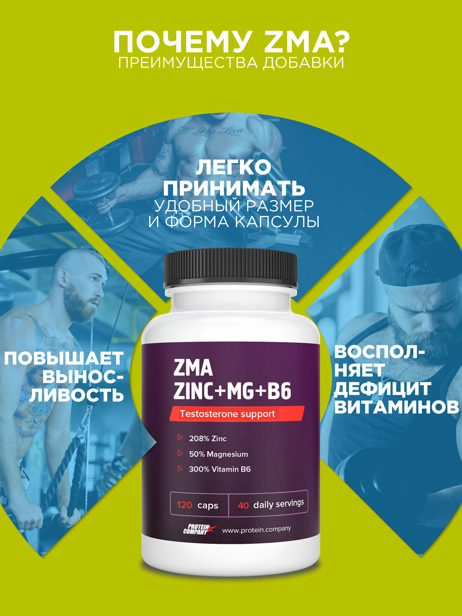 Изображение ZMA комплекс Zn+Mg+B6, PROTEIN.COMPANY. Бустер тестостерона, 120 капсул