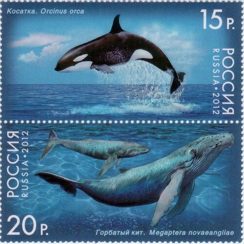 почтовые марки куба 2004г морские млекопитающие млекопитающие дельфины морская фауна mnh Почтовые марки Россия 2012г. Фауна России. Киты Киты, Млекопитающие, Морская фауна MNH