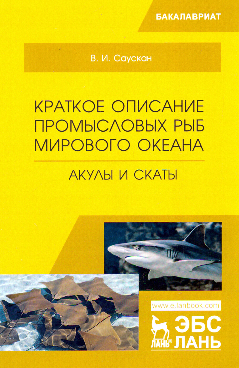 Краткое описание промысловых рыб Мирового океана. Акулы и скаты. Учебное пособие - фото №3