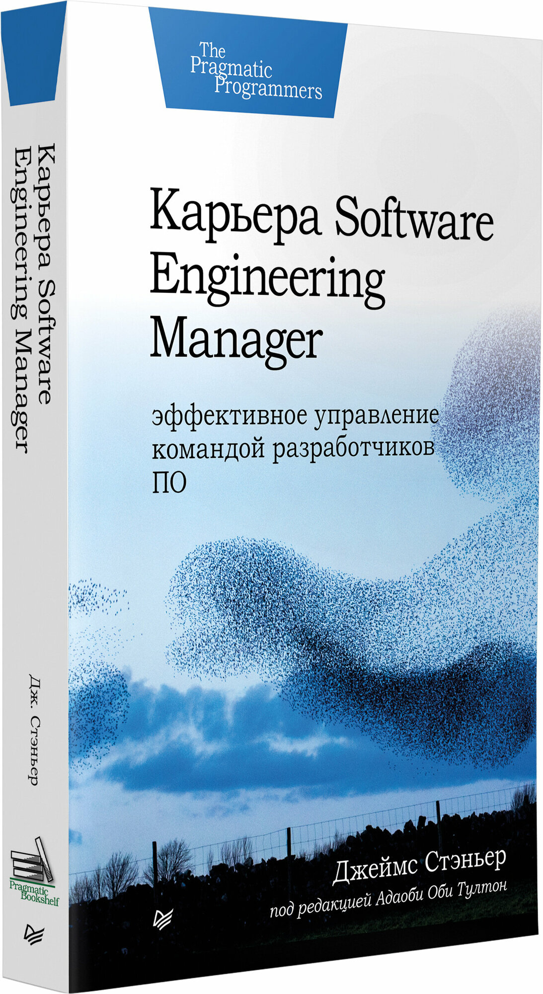 Карьера Software Engineering Manager. Эффективное управление командой разработчиков ПО - фото №10