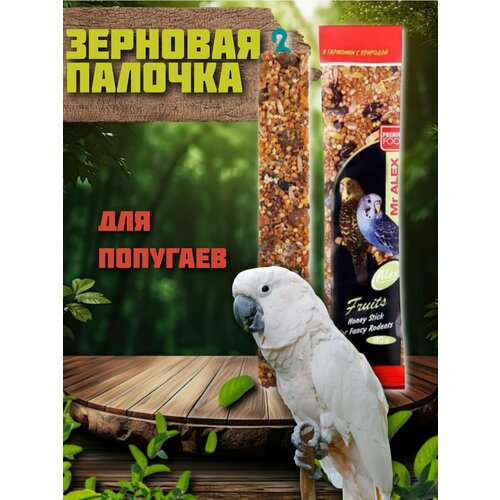 Медовая палочка для попугаев Фрукты 240₽