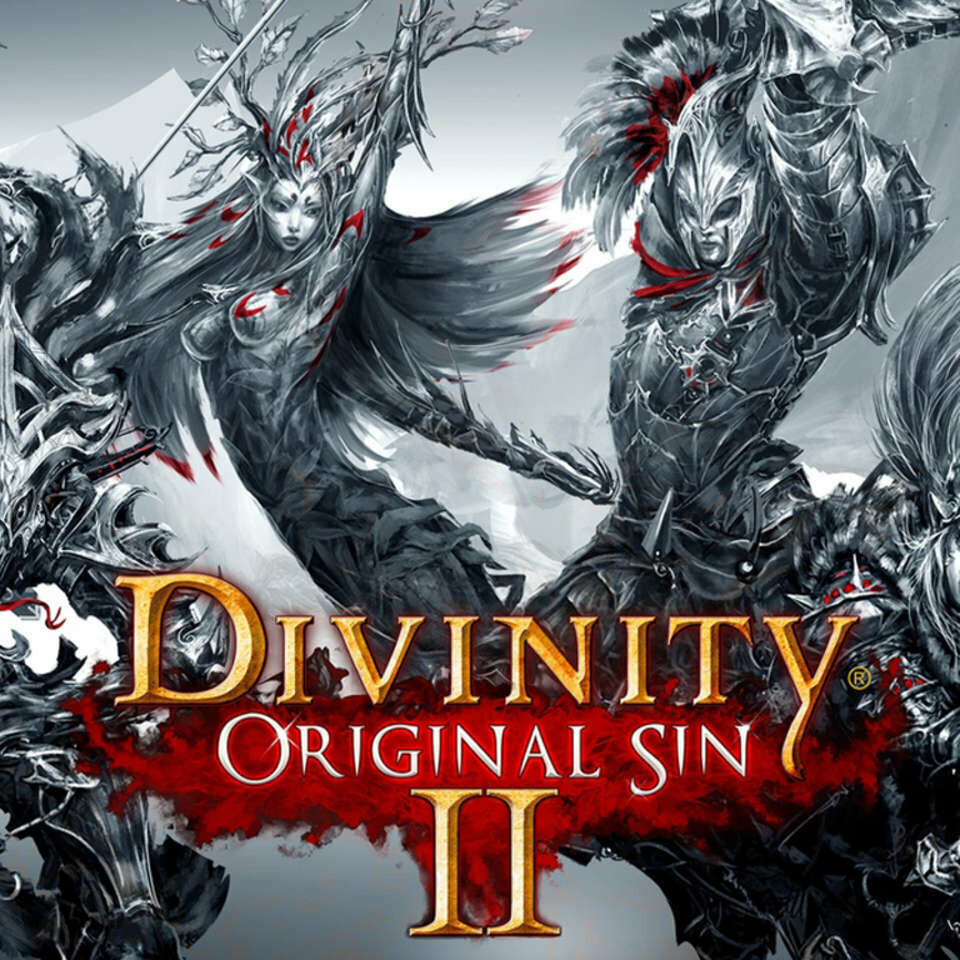 Игра Divinity: Original Sin II Xbox One / Series S / Series X