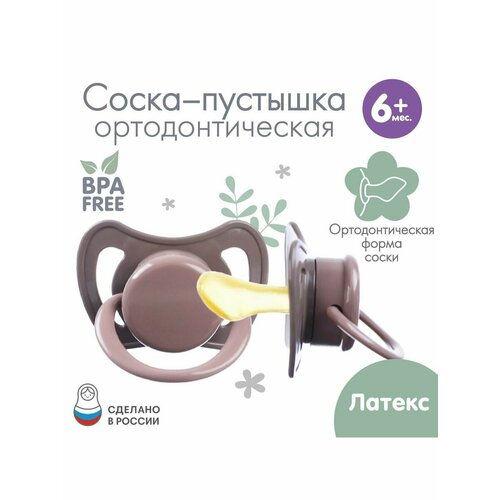 Соска - пустышка ортодонтическая латекс 6 мес Лес 409₽