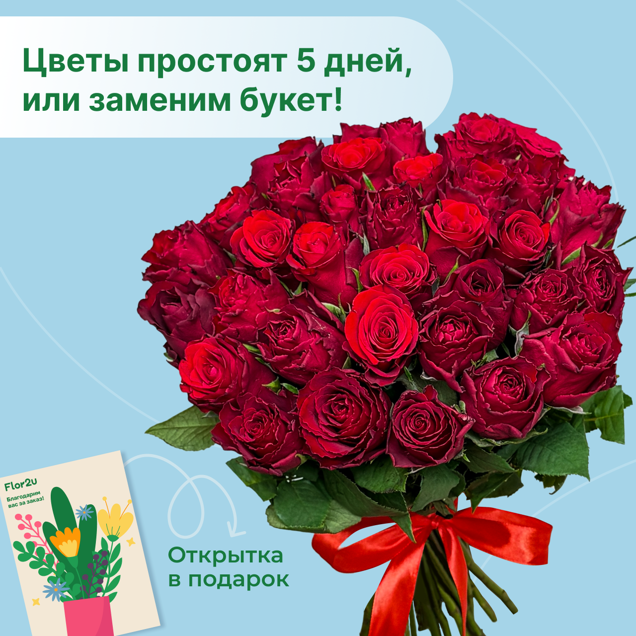 Букет живых цветов из 31 красной розы 35 см в ленте с доставкой