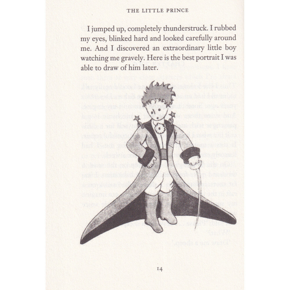 The Little Prince (de Saint-Exupery Antoine (иллюстратор), Testot-Ferry Irene (переводчик), de Saint-Exupery Antoine , Сент-Экзюпери Антуан де (соавтор)) - фото №19