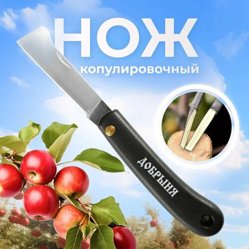 Нож копулировочный Добрыня ручка пластик, лезвие нержавеющая сталь 70 ...
