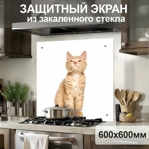 белый