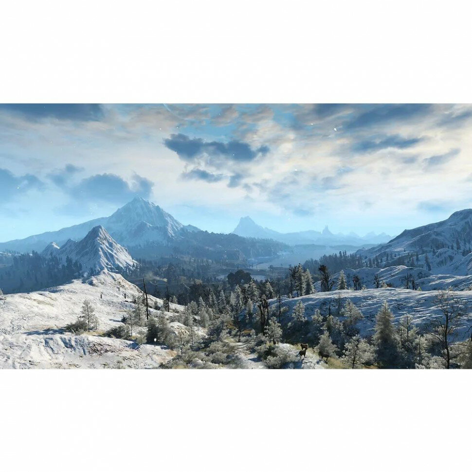 Игра The Witcher 3: Wild Hunt (Ведьмак 3) Complete Edition для Nintendo Switch (Русские субтитры) — фото 1