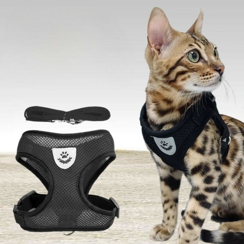 Изображение Шлейка для животных мелких пород анатомическая размер М, черная