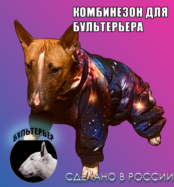 Комбинезон-дождевик для бультерьера кобеля, повышенной прочности, дизайнерский принт, цвет галактика