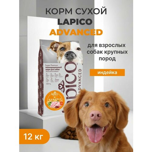 Корм сухой низкогликемический "Lapico" Advanced (Лапико), для собак крупных пород, индейка, 12кг