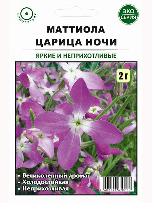 Маттиола Царица ночи 2 г