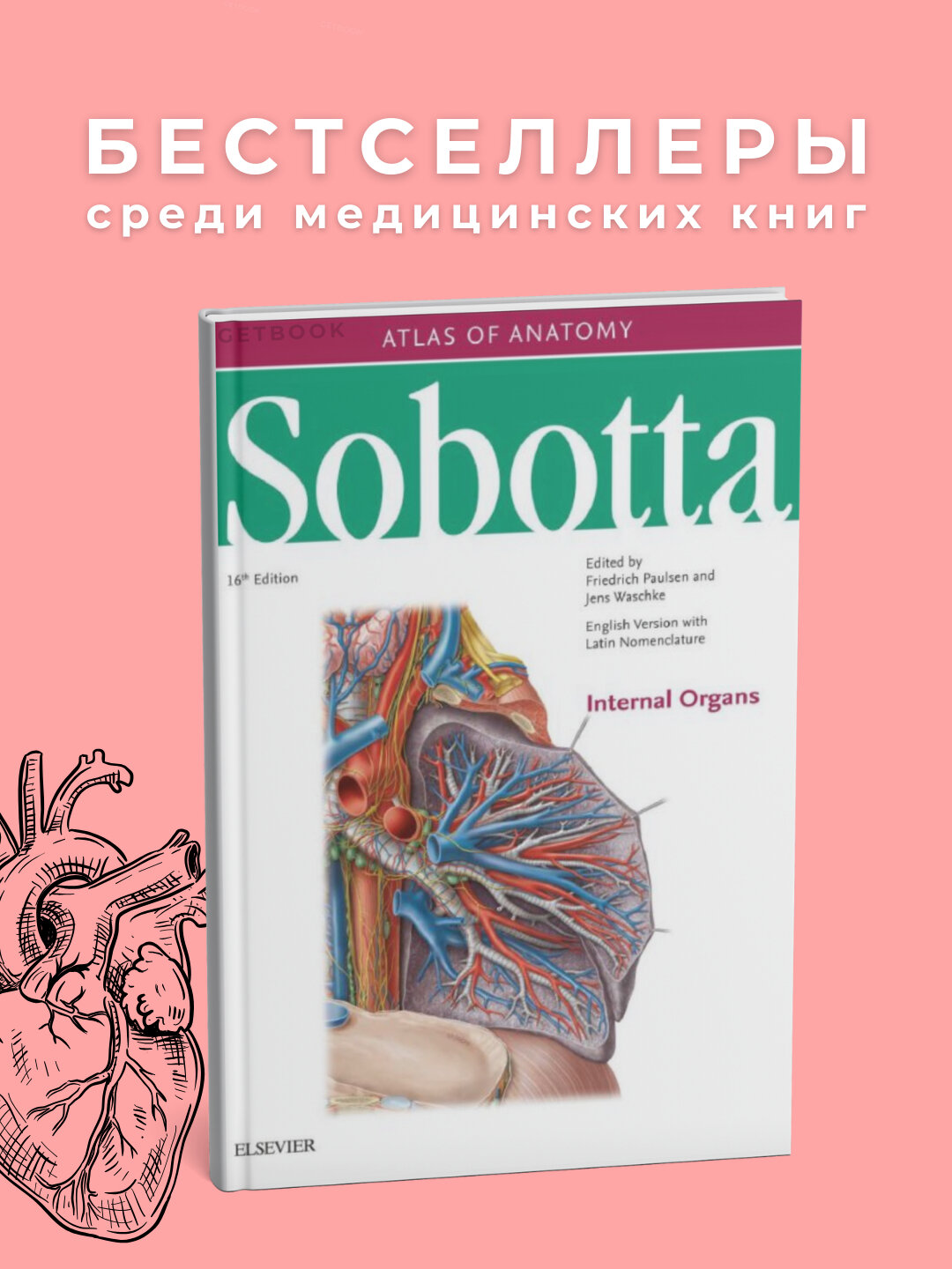 Atlas of Anatomy Volume Sobotta, мягкий переплет, 345 стр, черно-белые иллюстрации