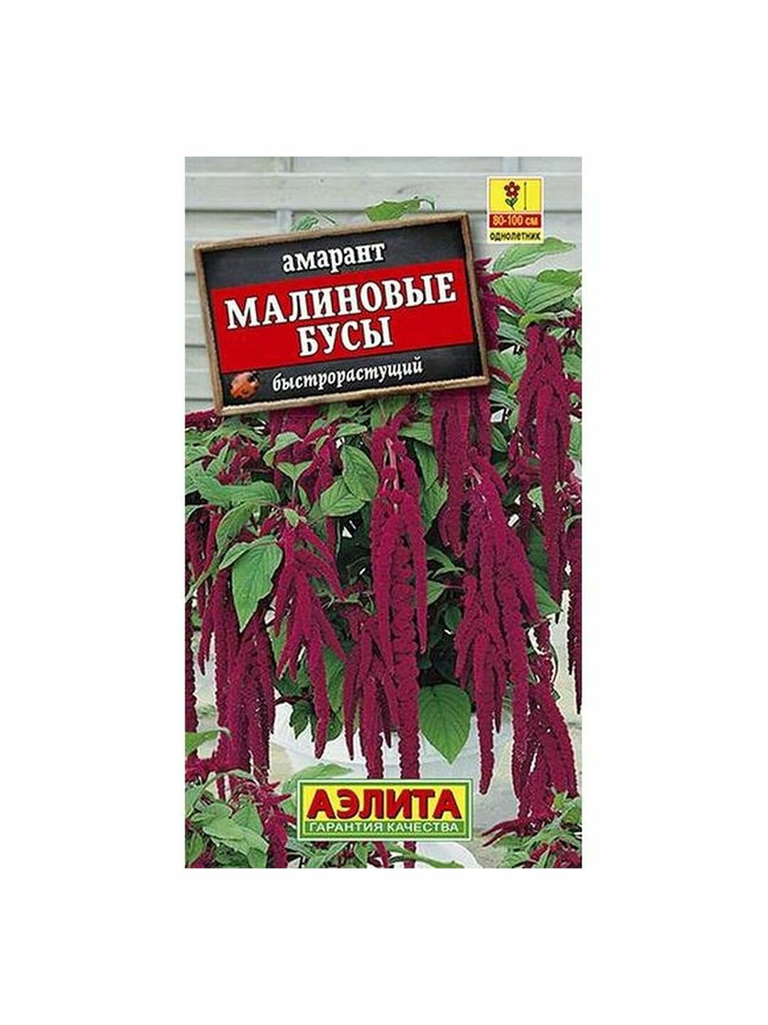 Семена Амарант Малиновые бусы однолетник Аэлита 1 пачка - 0.2г семян