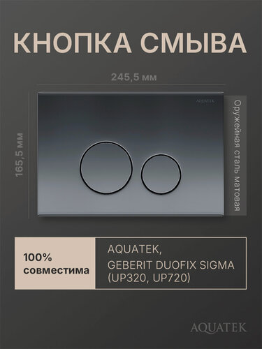 Изображение товара Кнопка смыва для инсталляции Geberit Sigma, Aquatek, графит, круглая