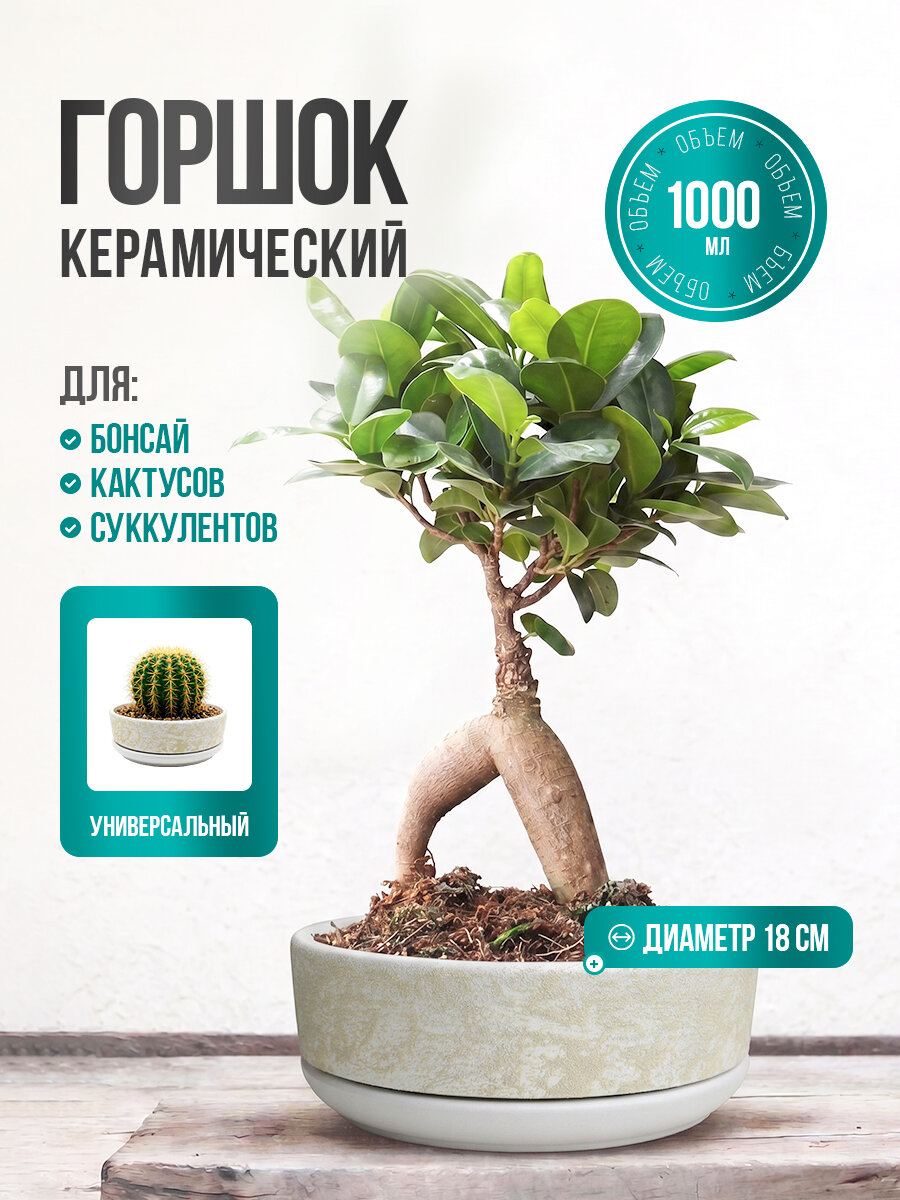 Керамический горшок "Сиде белый" для бонсай, кактусов и суккулентов, диаметр 18 см, высота 5,5 см