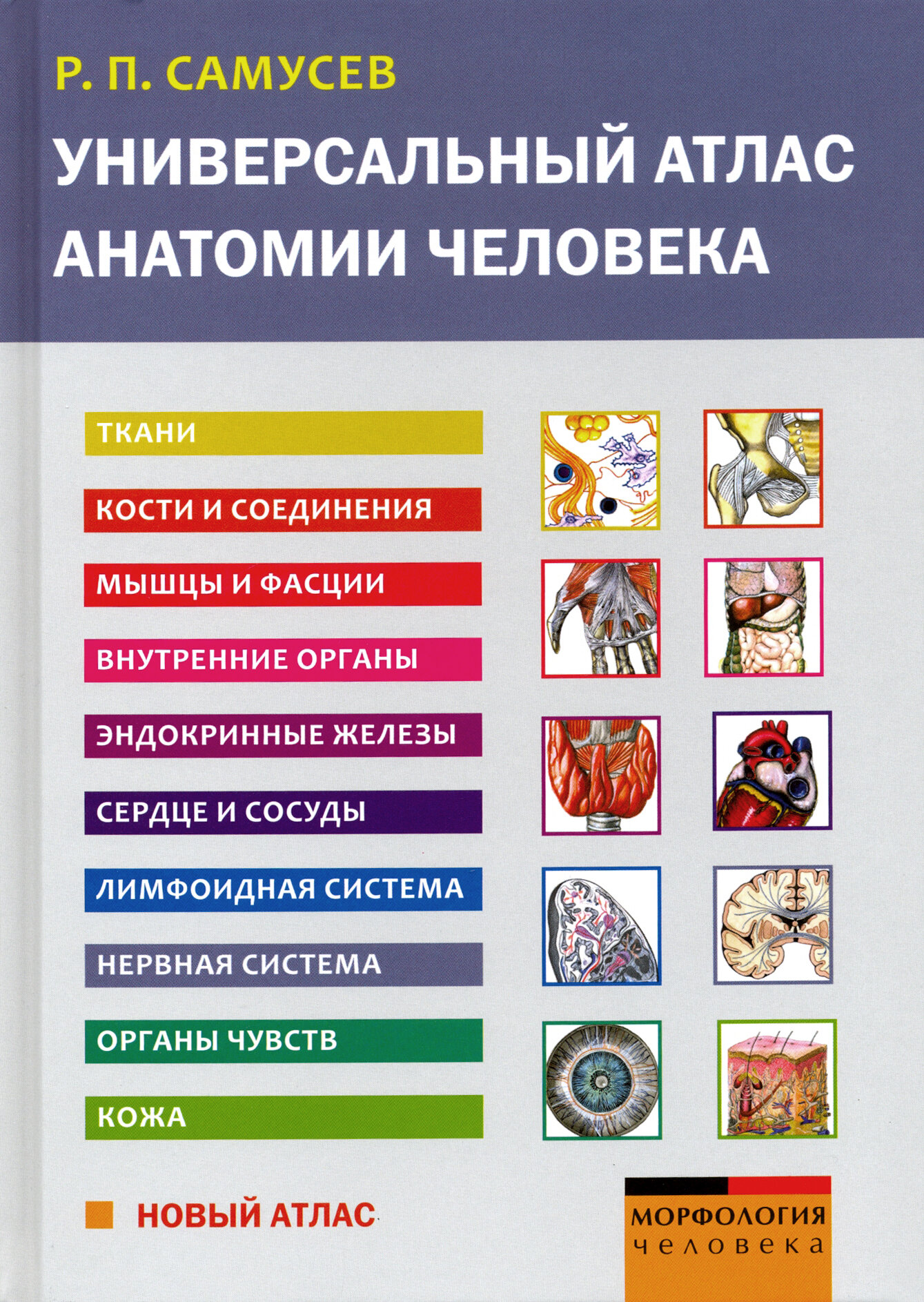 Универсальный атлас анатомии человека. Учебное пособие для студентов медицинских учебных заведений - фото №4