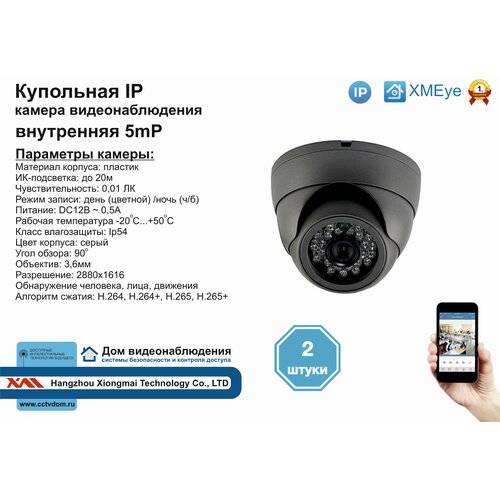 2шт DVS300IP5MP Внутренняя IP камера 5мП с ИК до 20м 671500₽