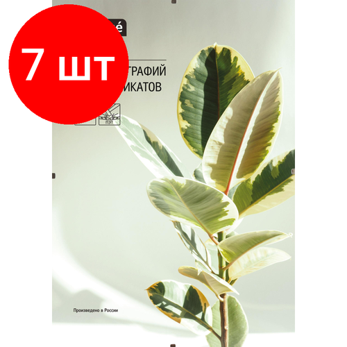 Комплект 7 штук, Рамка Attache клип 21х30 рамка клип 21х29 7 см стекло цвет прозрачный