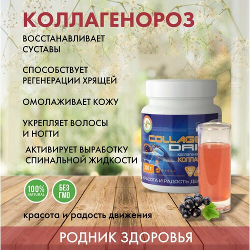 фото Коллагенороз (коллагеновый напиток) для суставов, связок, хрящей, кожи, волос, концентрат сухой 400 г (40 порций) родник здоровья