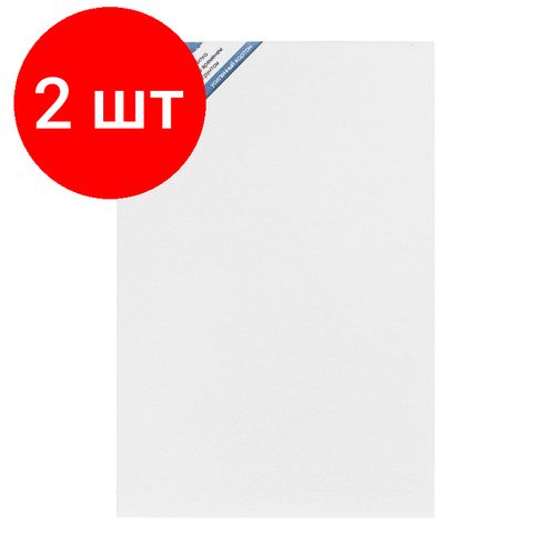 Комплект 2 штук, Картон грунтованный односторонний Малевичъ (20х30 см), 312030