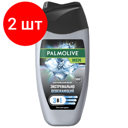 Комплект 2 штук, Гель для душа Palmolive MEN Арктический ветер 250 мл