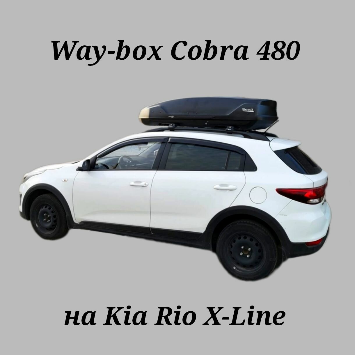 Автобокс Way-box Cobra 480 на Kia Rio X Line
