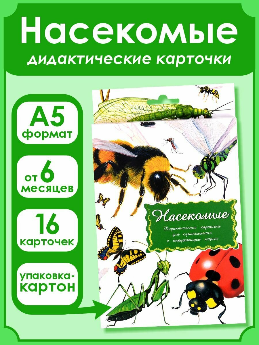 Дидактические карточки "Насекомые" - фото №12