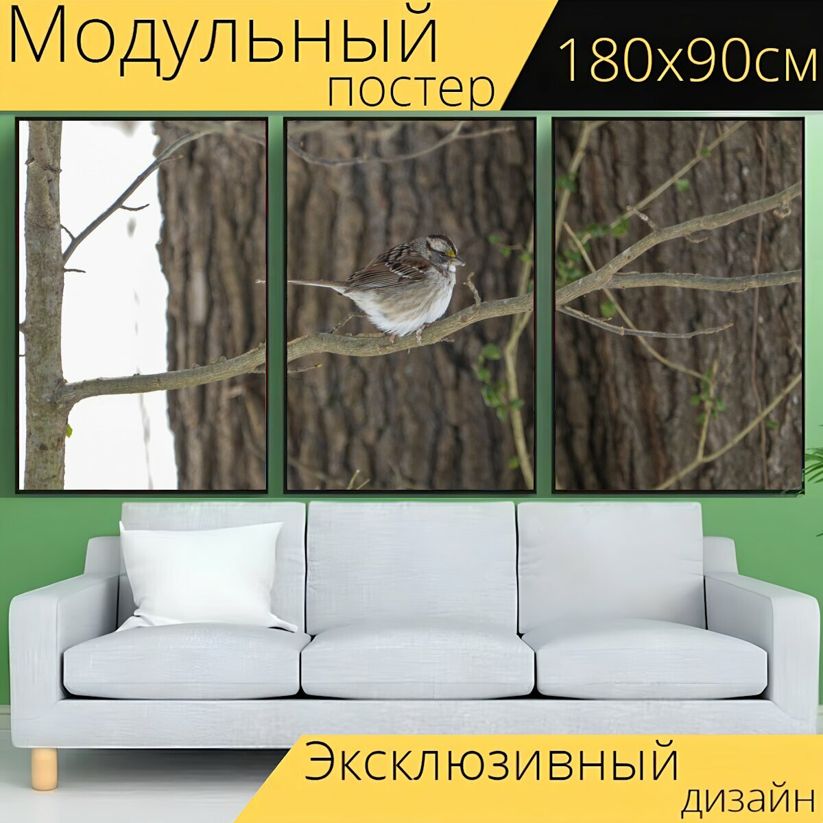 Модульный постер "Птица, птичий, дикая природа" 180 x 90 см. для интерьера
