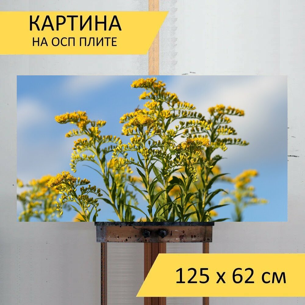 Картина на ОСП 125х62 см. 