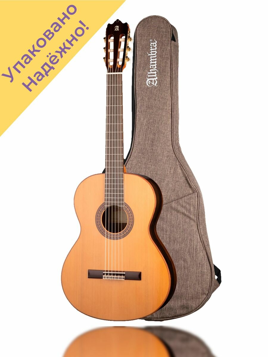 8.806 Classical Student Iberia Ziricote Классическая гитара